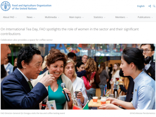 连续两年受邀亮相联合国，八马茶业何以从“中国茶”到“世界茶”