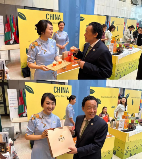 连续两年受邀亮相联合国，八马茶业何以从“中国茶”到“世界茶”