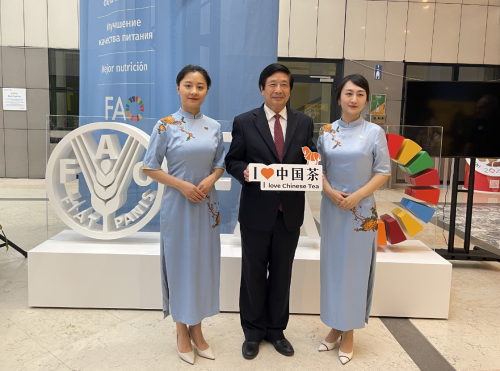 连续两年受邀亮相联合国，八马茶业何以从“中国茶”到“世界茶”