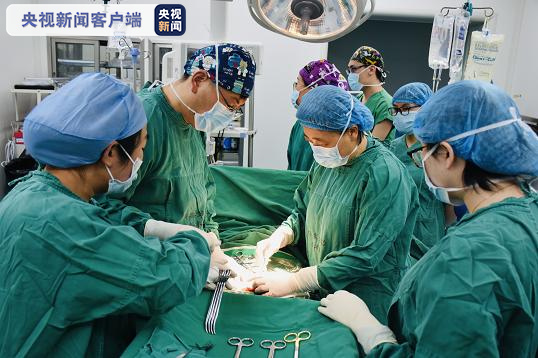 我国卵巢冻存组织移植首例成功，吉悦巢引领女性卵巢健康新时代