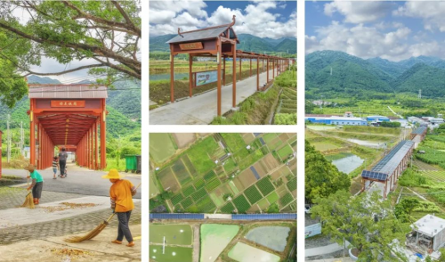 荣耀时刻 | 永福绿能项目成功入选新华网2024乡村振兴实践案例