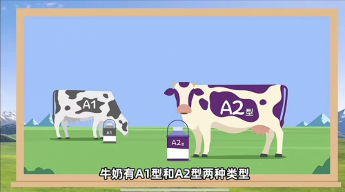 纯正a2源乳营养根基，a2至初帮助宝宝打造自护力保护伞