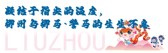 各组冠军悉数刷新赛会纪录！柳州银行杯·2025柳州马拉松暨警察马拉松鸣枪开跑！