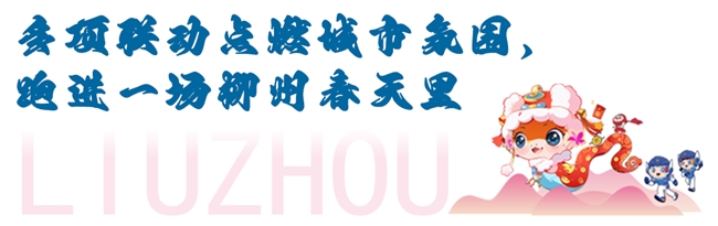 各组冠军悉数刷新赛会纪录！柳州银行杯·2025柳州马拉松暨警察马拉松鸣枪开跑！