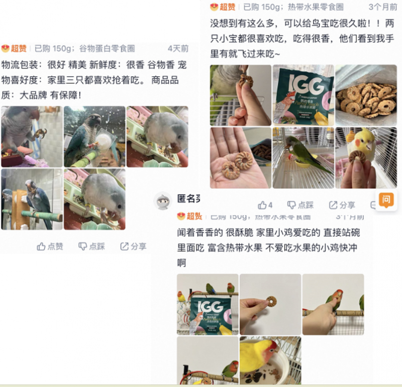 6 月上新、亚宠展售罄！IGG 鹦鹉零食圈凭实力火出圈