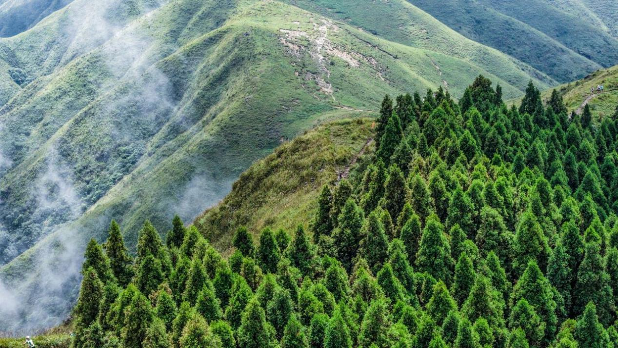 山野知己，我们明年再见！户外特工·2025第九届武功山越野赛圆满落幕