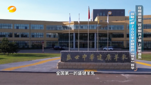 湖南卫视台网双平台共振，让盛健羊乳国品羊奶深入年轻人心里
