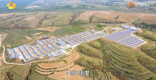 湖南卫视台网双平台共振，让盛健羊乳国品羊奶深入年轻人心里