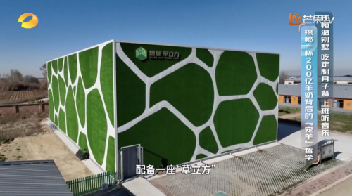 湖南卫视台网双平台共振，让盛健羊乳国品羊奶深入年轻人心里
