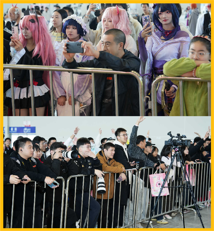 2025潮玩绵阳·竞遍九州全民电竞挑战赛暨首届RCD幻梦之城动漫游戏嘉年华活动圆满落幕！