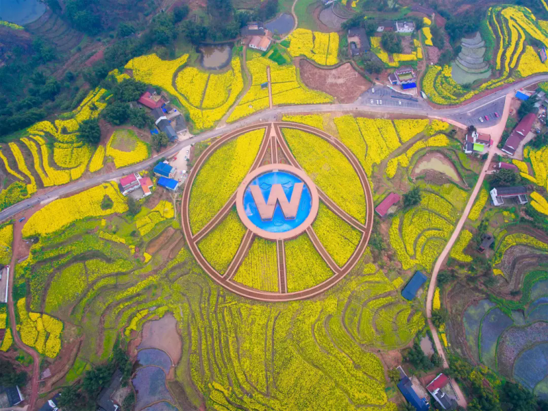 五粮文创破晓而来，以中国美学重塑白酒文化新纪元