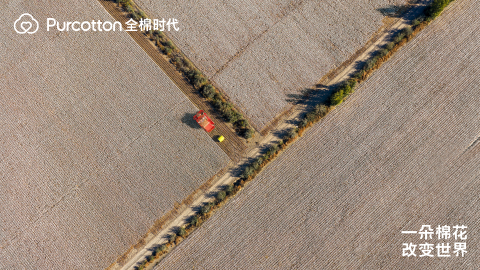 走进棉花的世界 全棉时代记录一朵棉花带来的改变