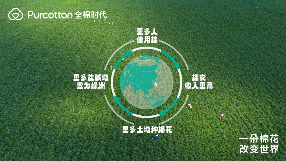 走进棉花的世界 全棉时代记录一朵棉花带来的改变