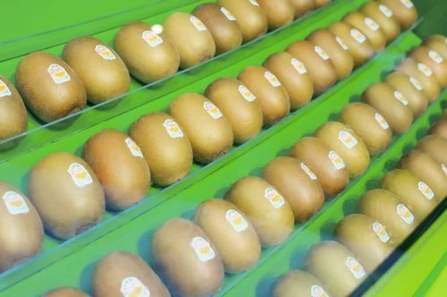 佳沛再赴进博之约，以阳光食育助力下一代健康成长